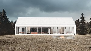 3D Modern Forest House model