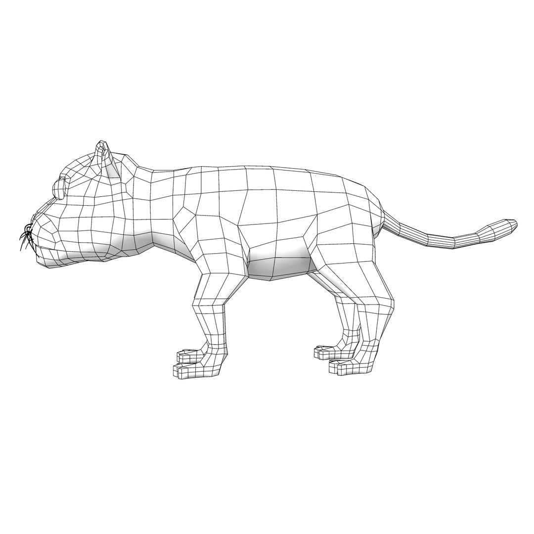 3d model of tiger rigged