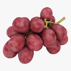 realistic red grapes 3D model