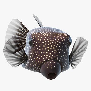 Brown Spotted Boxfish