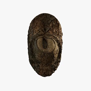 3D Anydrafts Cassia fistula Burl 01