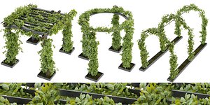 Collection plant vol 269 - blender model 3D