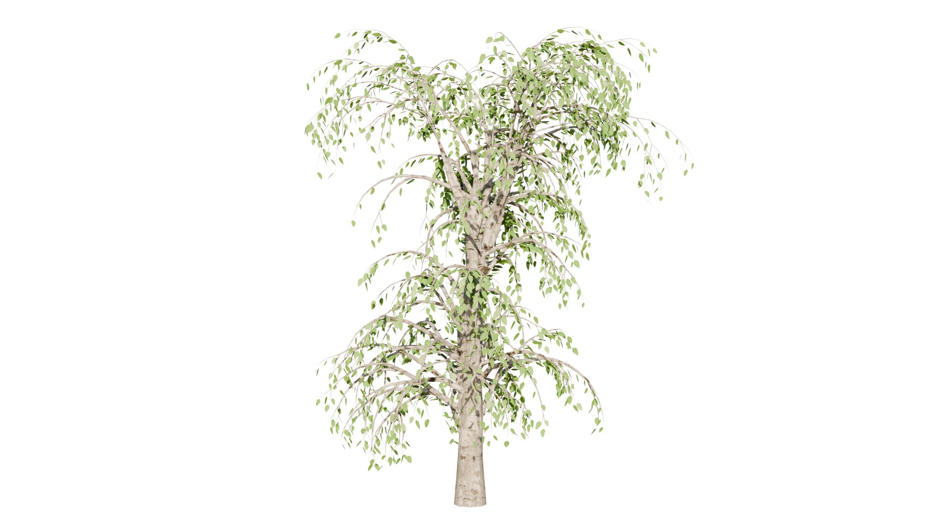 High-Quality 3D Trees Pack 7 Models 3D Model - TurboSquid 2352201