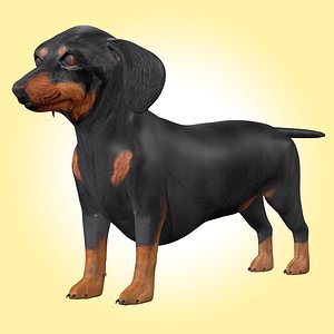 Dachshund Dog 3D