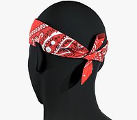 Red Paisley Bandana