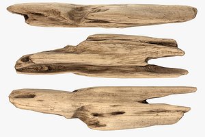Plank Fragment