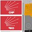 Turkey Republican Peoples Party - CHP Flags