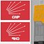 Turkey Republican Peoples Party - CHP Flags