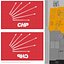 Turkey Republican Peoples Party - CHP Flags