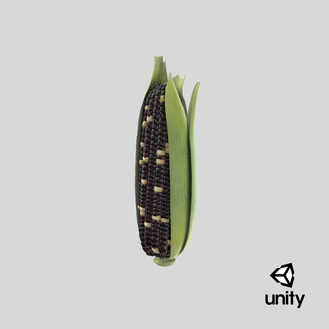 ears-of-corn---01-cv2 model https://p.turbosquid.com/ts-thumb/gb/AmgJnL/lnlZChS8/stemcell_unity_render/png/1542815010/1920x1080/fit_q87/21519d39892a9b3154a5bb29c022a0bf9baf872d/stemcell_unity_render.jpg