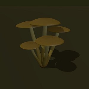fungus cluster cartoon 3d model