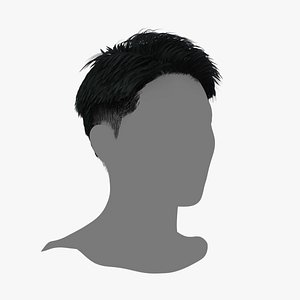 3D Male Hair - 017 model