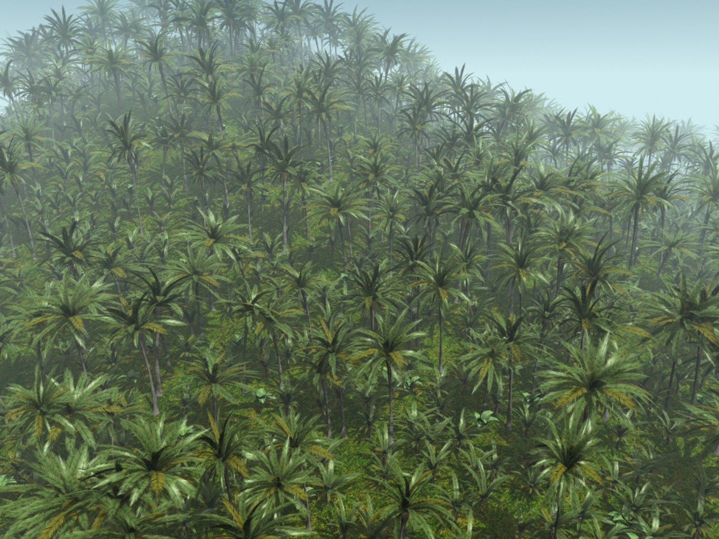 directx tropical palm tree leaf https://p.turbosquid.com/ts-thumb/gb/O86ShY/CYyHRH7E/palmforest/jpg/1302150236/1920x1080/fit_q87/9eaa2a1d272faf3e2609eaec744b8dc5b978427c/palmforest.jpg