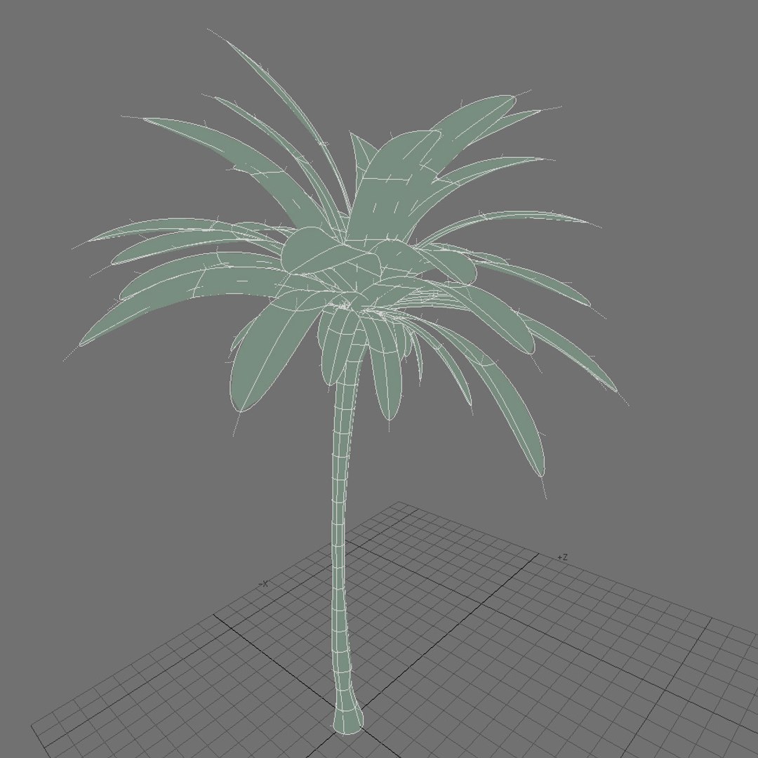 directx tropical palm tree leaf https://p.turbosquid.com/ts-thumb/gb/O86ShY/gMgLt9Fg/wire1/jpg/1301878483/1920x1080/fit_q87/85026b3fd598844eae4647774e4c25db9712308f/wire1.jpg