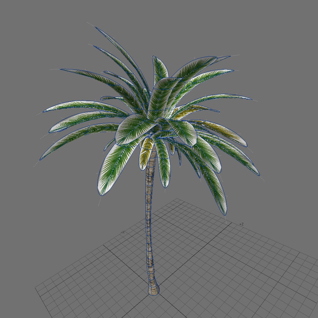 directx tropical palm tree leaf https://p.turbosquid.com/ts-thumb/gb/O86ShY/ihOmQcQ6/wire2/jpg/1301878483/1920x1080/fit_q87/2d8339614339a0fd01998ebfa9299debcb51704c/wire2.jpg
