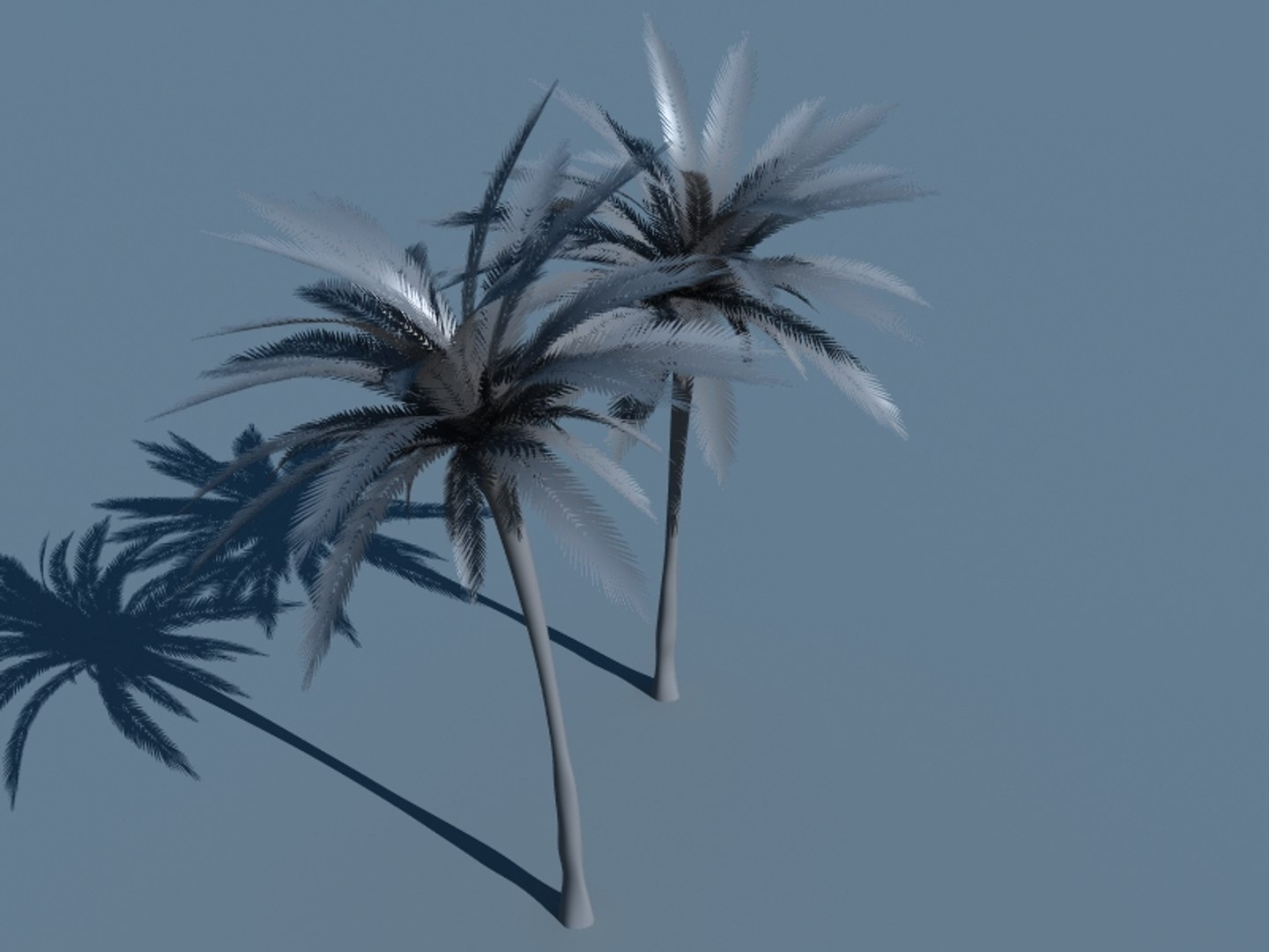 directx tropical palm tree leaf https://p.turbosquid.com/ts-thumb/gb/O86ShY/qTwky1Cp/plain/jpg/1301879215/1920x1080/fit_q87/58627b70562e6e1d7bb6db22af146050471e2567/plain.jpg