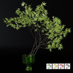 decorative branch japanese maple 3D model