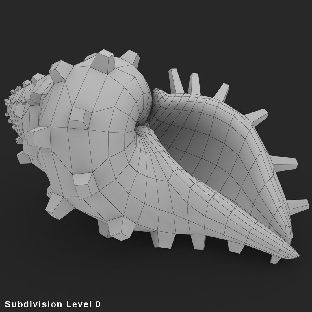 3ds Frog Shell