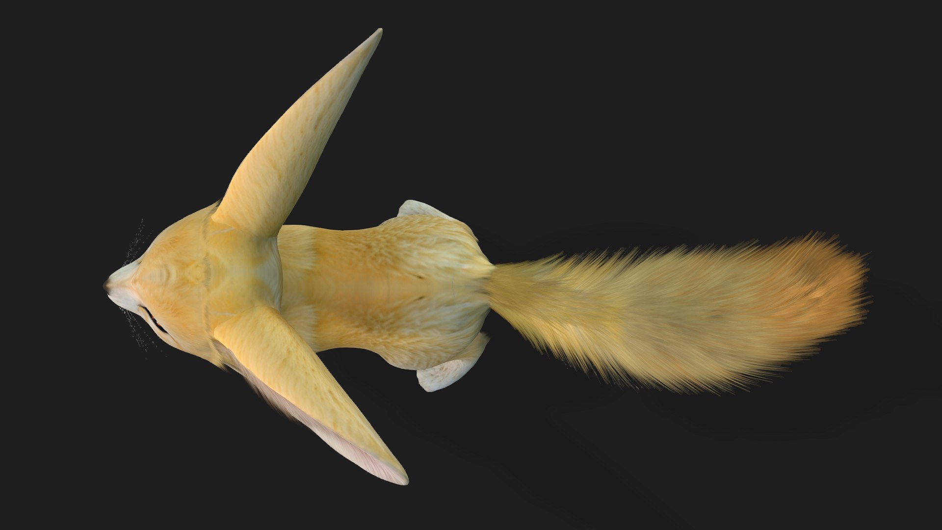 3D model Fox-B1 https://p.turbosquid.com/ts-thumb/gb/eV8ycY/Qn/preview4/jpg/1759113147/1920x1080/fit_q87/6381d17b6d462485100be62a07df8d5d1a095dec/preview4.jpg