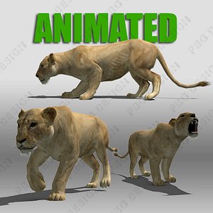 Lioness Animated