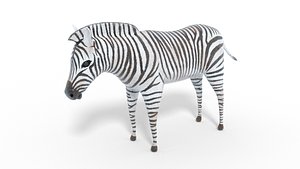 3D animal nature zebra