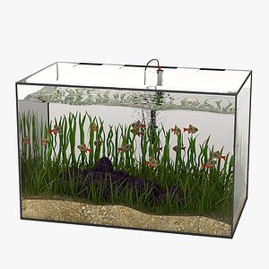 Rectangular Glass Aquarium