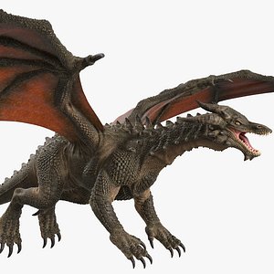 Dragon No Rig1