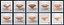 Imperial Topaz Stone Collection