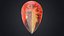 Imperial Topaz Stone Collection