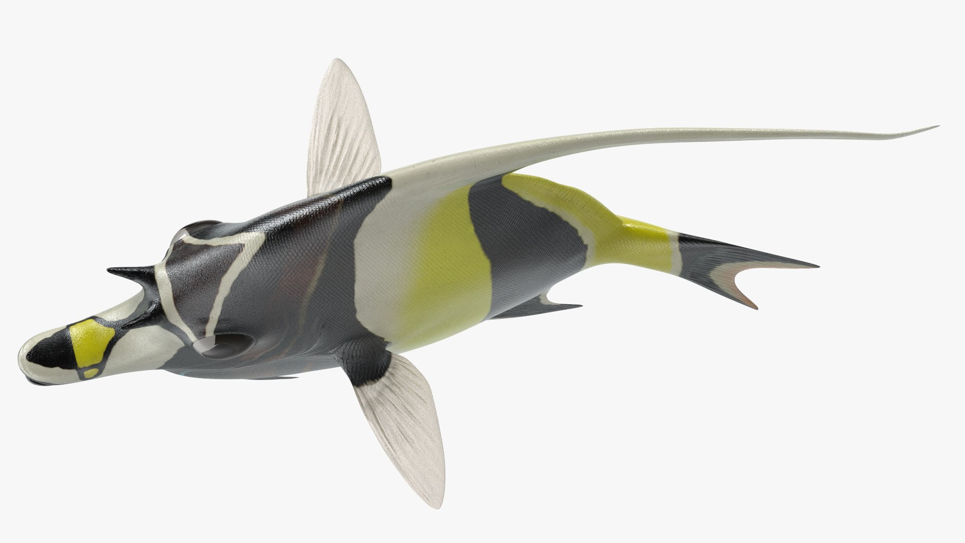 Moorish Idol Tropical Fish model https://p.turbosquid.com/ts-thumb/gc/BxHavr/0M/moorish_idol_tropical_fish_011/jpg/1732360049/1920x1080/fit_q87/7c36031f33c338ff1c78d33f341cf1a5a2bad11d/moorish_idol_tropical_fish_011.jpg
