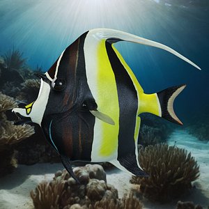 Moorish Idol Tropical Fish model