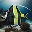 Moorish Idol Tropical Fish