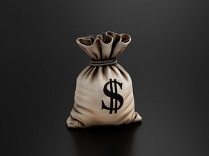 3D Money bag