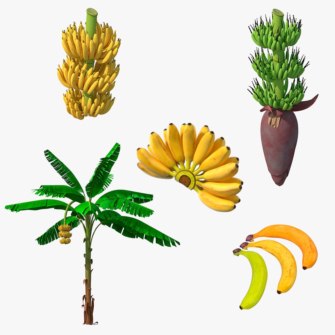 Bananas Collection 3 3D model preview