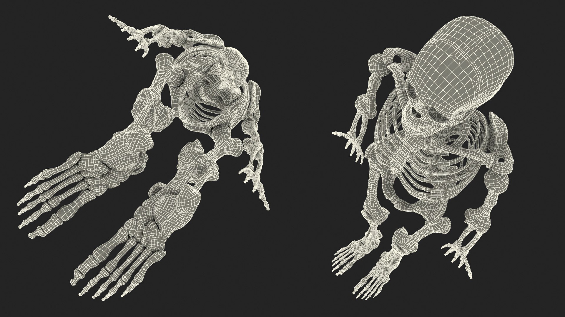 3D Human Male Skeleton Anatomy Rigged https://p.turbosquid.com/ts-thumb/gc/WjfLSJ/KR/human_male_skeleton_anatomy_rigged_031/jpg/1743469667/1920x1080/fit_q87/6bad4cc822709880bf666eb67b48da97cdb2beeb/human_male_skeleton_anatomy_rigged_031.jpg
