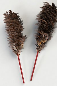Feather Duster