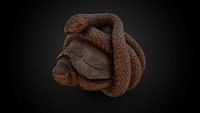 Wooden Turtle Netsuke Snake