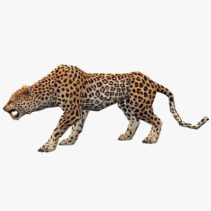 Animated leopard