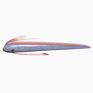 Giant oarfish
