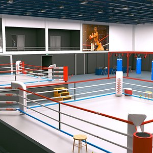 3D boxing gym