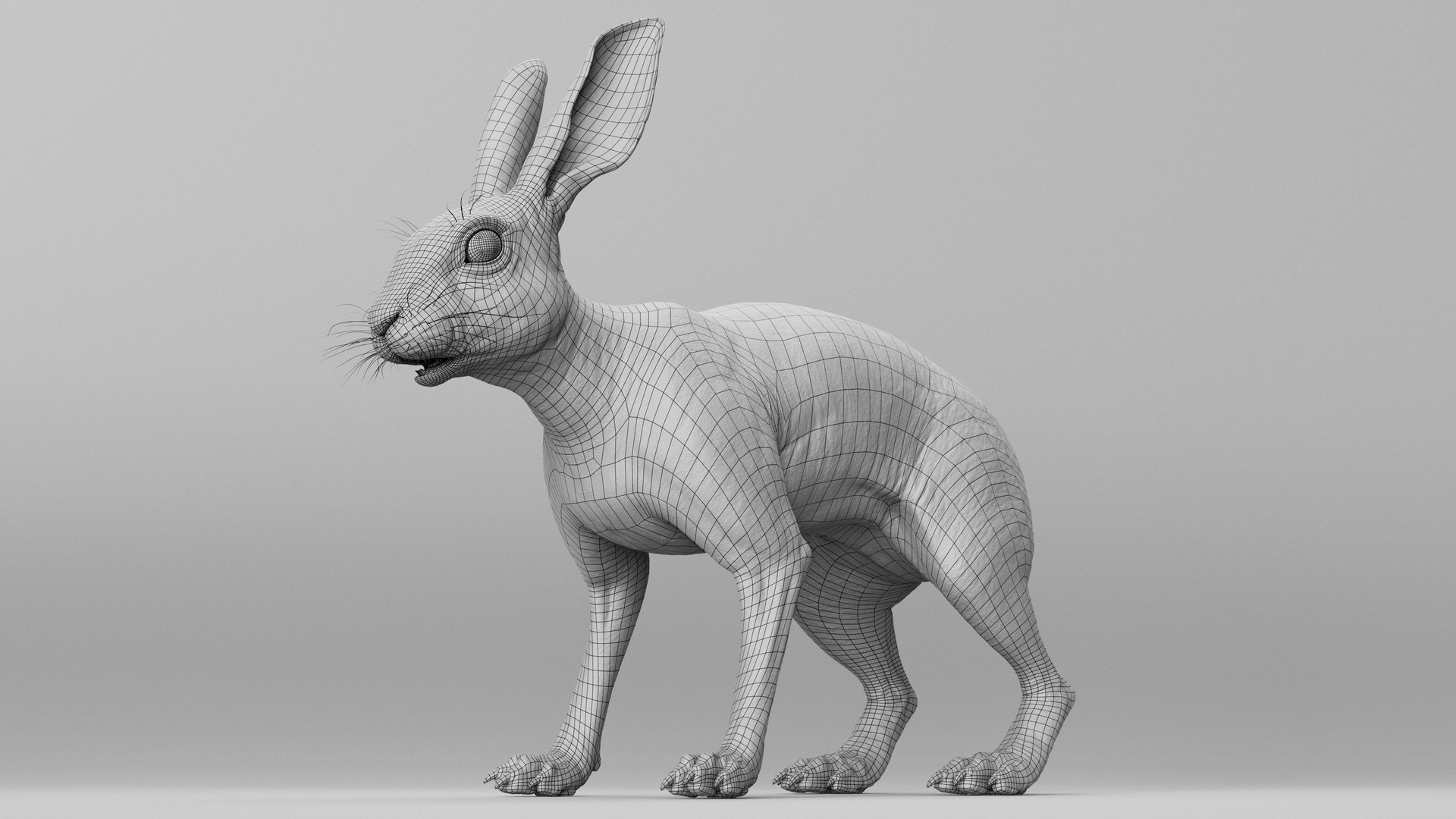 3D Model Hare - TurboSquid 2180781