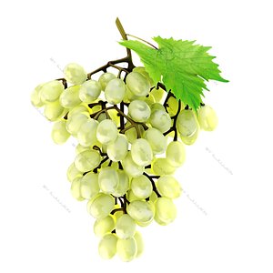 realistic grapes white 3d model