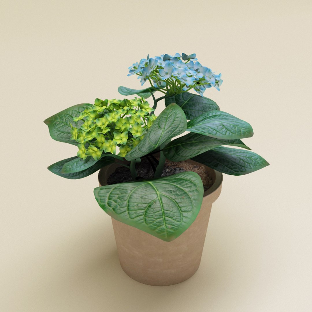 interior plants v3 3ds https://p.turbosquid.com/ts-thumb/gd/Kzgwk3/OOcJcSoT/interior_plants_collection_v3_03/jpg/1266354690/1920x1080/fit_q87/75f2f33d24170e066de608352ce02a905014397c/interior_plants_collection_v3_03.jpg