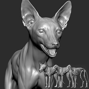 Fox VFX MUSCLE SIMULATION