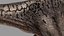 allosaurus 3D model