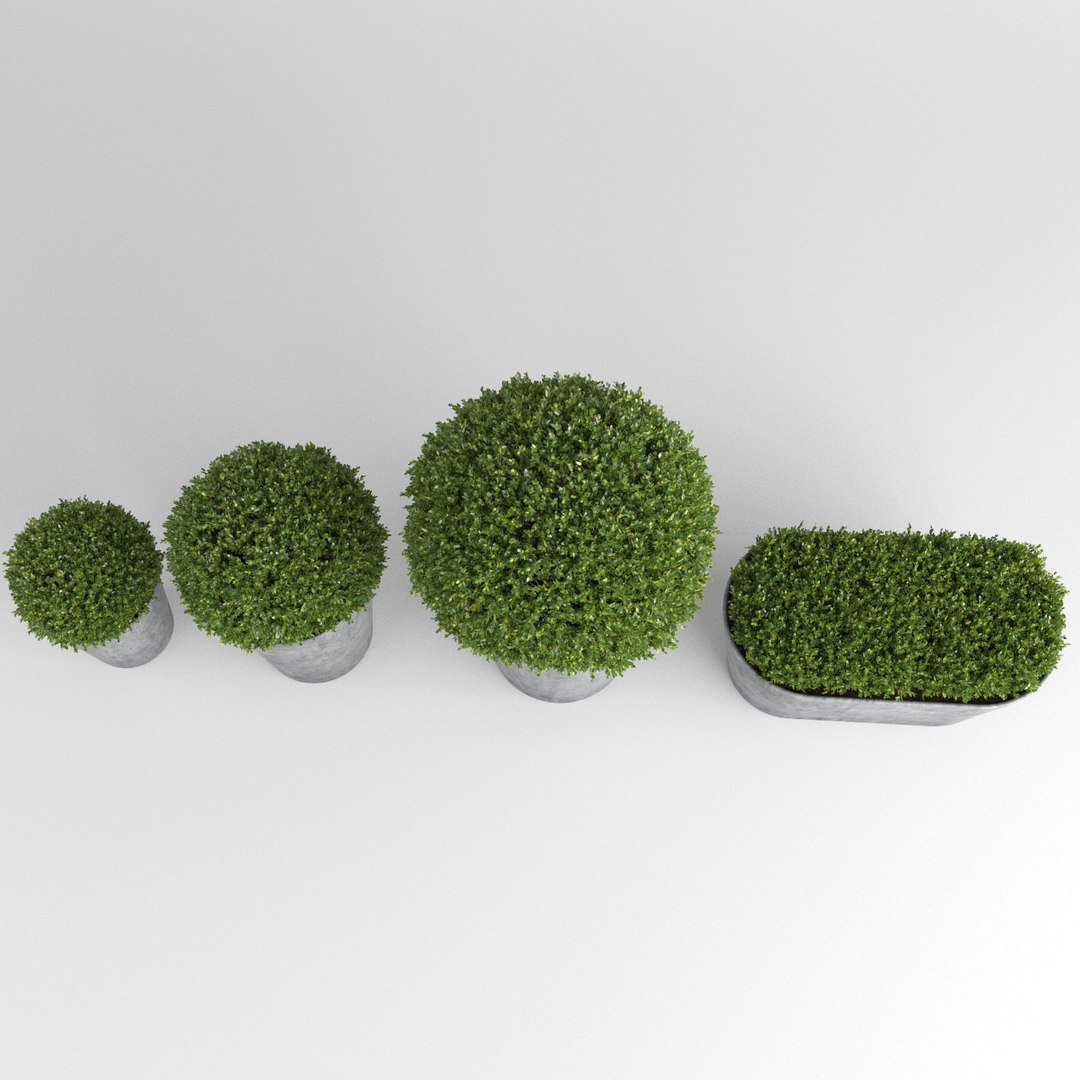 max realistic planters https://p.turbosquid.com/ts-thumb/gd/hZaiob/pWwe12Bo/rh_round8/jpg/1463135212/1920x1080/fit_q87/ec127e9f55aabea22ead9a537f0dfe19b09c6403/rh_round8.jpg