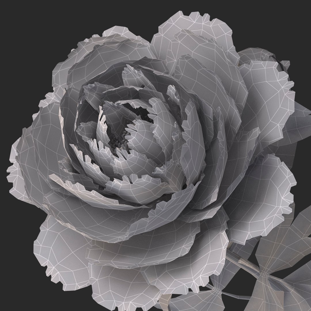 3D peony red v2 https://p.turbosquid.com/ts-thumb/gd/s5gLtI/GS2vnIv5/017/jpg/1497469226/1920x1080/fit_q87/bb6fa68ba6de45afc8c080fc5bcd9d0fe966572a/017.jpg