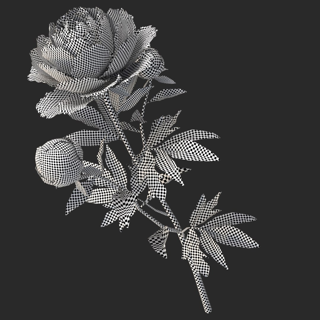 3D peony red v2 https://p.turbosquid.com/ts-thumb/gd/s5gLtI/JBIuSt7q/020/jpg/1497469226/1920x1080/fit_q87/4b284148371dbb12b53a12b0ba7cf8dda6dbe6a9/020.jpg