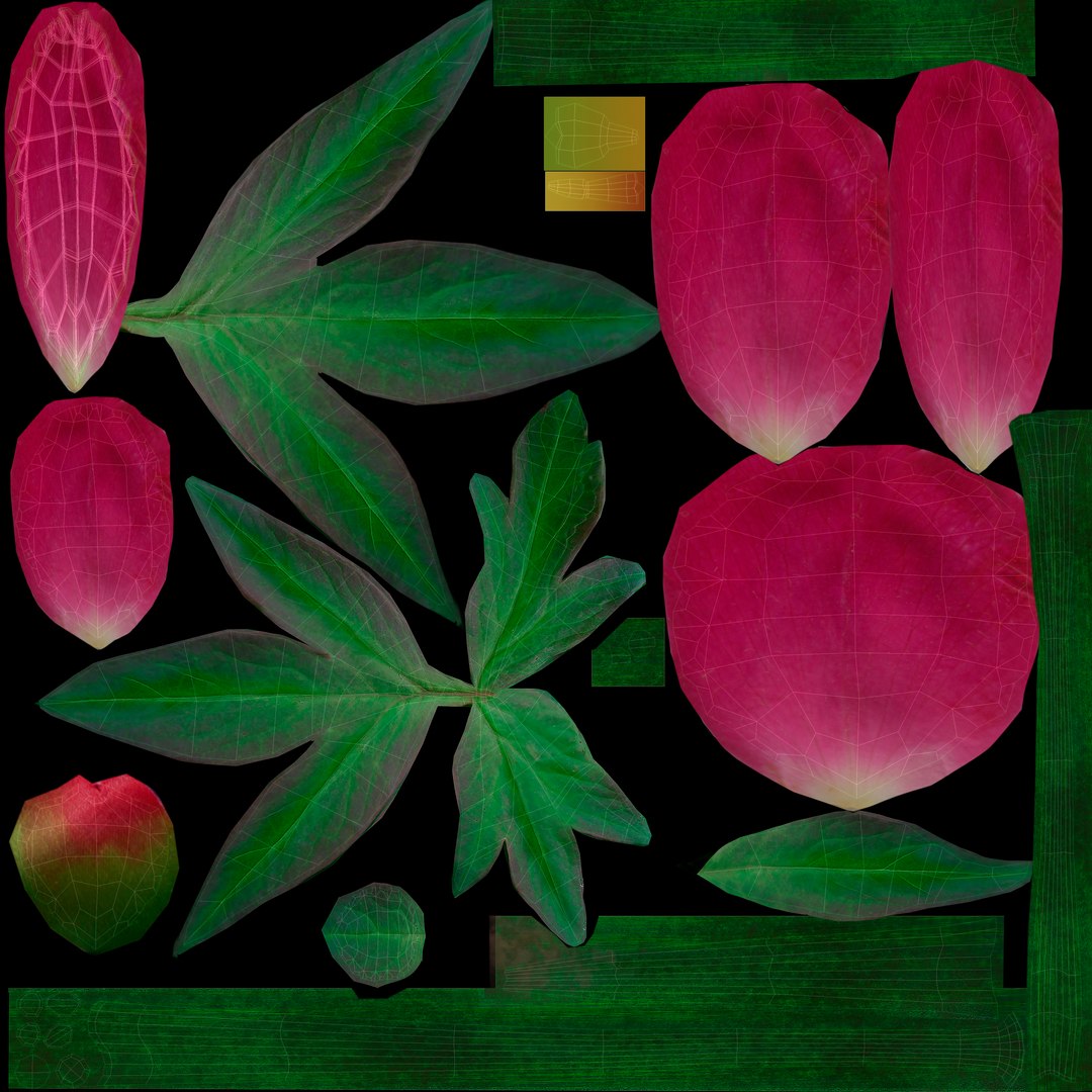 3D peony red v2 https://p.turbosquid.com/ts-thumb/gd/s5gLtI/UqGPwdJe/021/jpg/1497469226/1920x1080/fit_q87/6b145a8271b3cc456243e51f7d5f365bdd122ddb/021.jpg