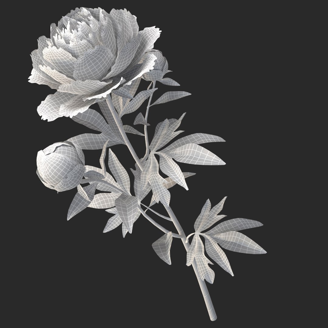 3D peony red v2 https://p.turbosquid.com/ts-thumb/gd/s5gLtI/eIIxxEhr/015/jpg/1497469226/1920x1080/fit_q87/7c2a3e4b8ae097343bd41f1f0be361034244bbb1/015.jpg